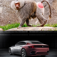 Illustration for article titled The Back Of The Peugeot Exalt Concept Is Just Blushing